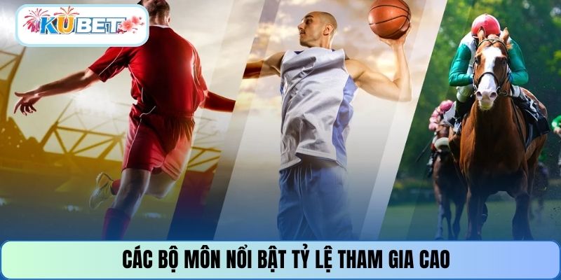 Các bộ môn nổi bật tỷ lệ tham gia cao