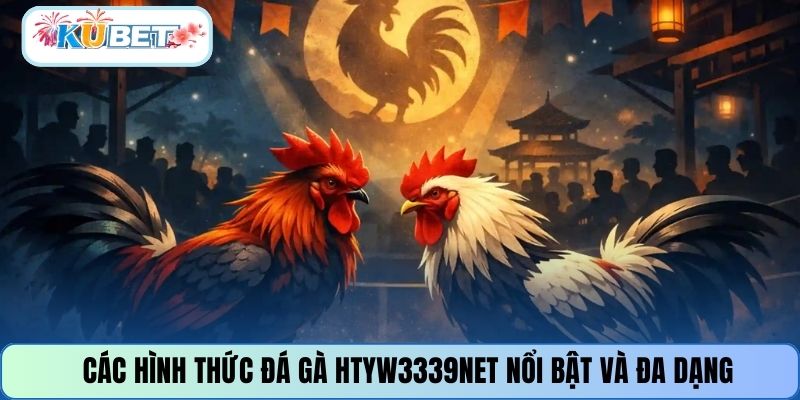 Các hình thức đá gà HTYW3339NET nổi bật và đa dạng