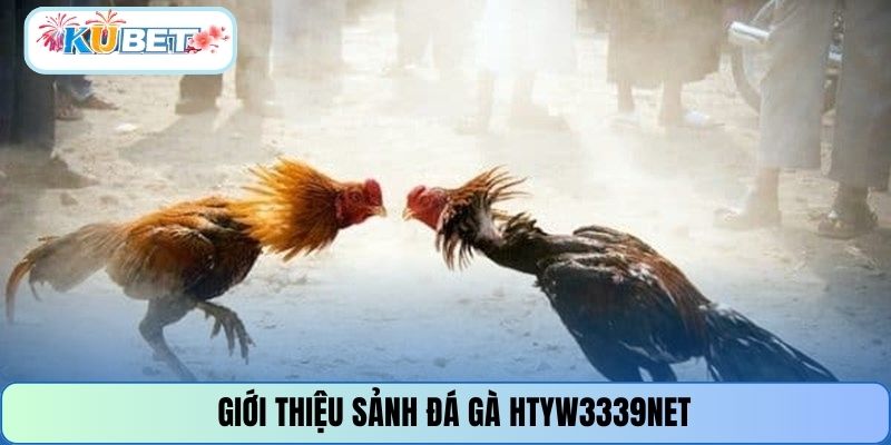 Giới thiệu sảnh đá gà HTYW3339NET